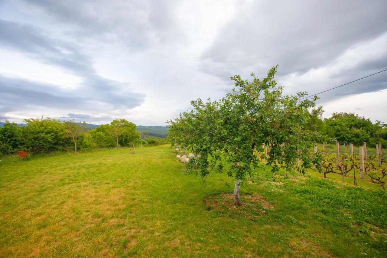 Casa Di Oliva-House With Heated Pool & Jacuzzi In Trilj, Croatia Villa Exteriör bild