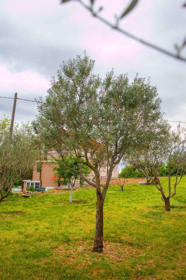 Casa Di Oliva-House With Heated Pool & Jacuzzi In Trilj, Croatia Villa Exteriör bild