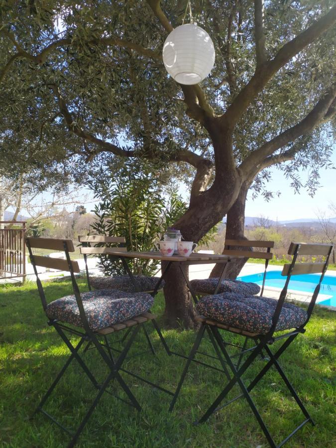 Casa Di Oliva-House With Heated Pool & Jacuzzi In Trilj, Croatia Villa Exteriör bild